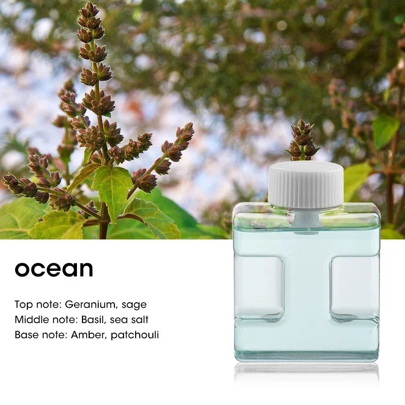 Diffuseur Ultrasonique 50ml Portable - Humidificateur Voyage Compact